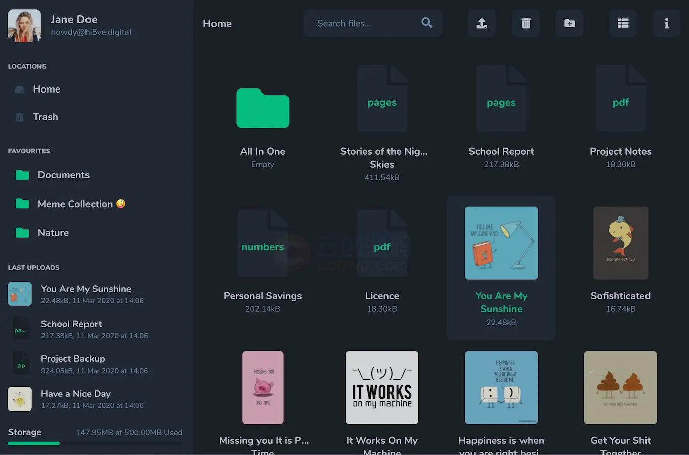 LooFileManager private cloud storage SaaS dashboard and file manager interface