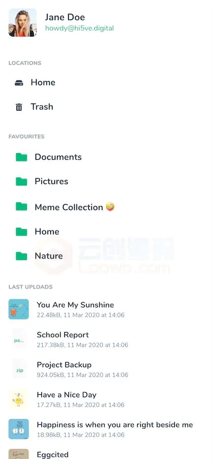 LooFileManager private cloud storage SaaS dashboard and file manager interface