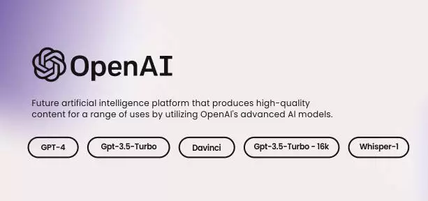 含99模板OpenAI服务平台源码/AI取名/AI简历生成器/AI图生视频